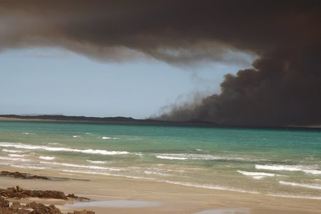 (Foto's: Monica Hayes)